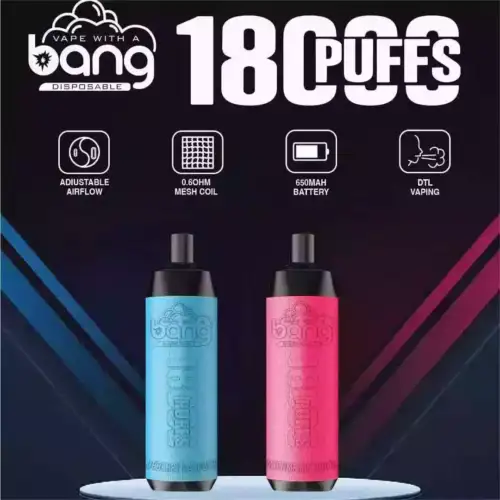 BANG 18000 Puffs DTL – Vielseitige Aromen