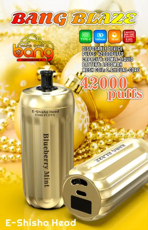 BANG 42000 puffs BLAZE – Frische Power