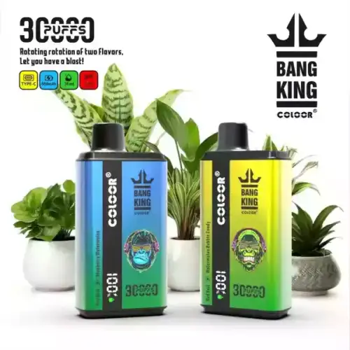 BANG King 30000 Puffs – Vielseitige Aromen