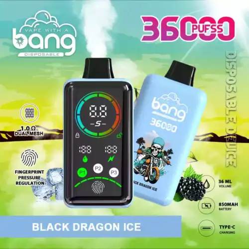 Bang 36000 Puffs – Geschmacksexplosion pur