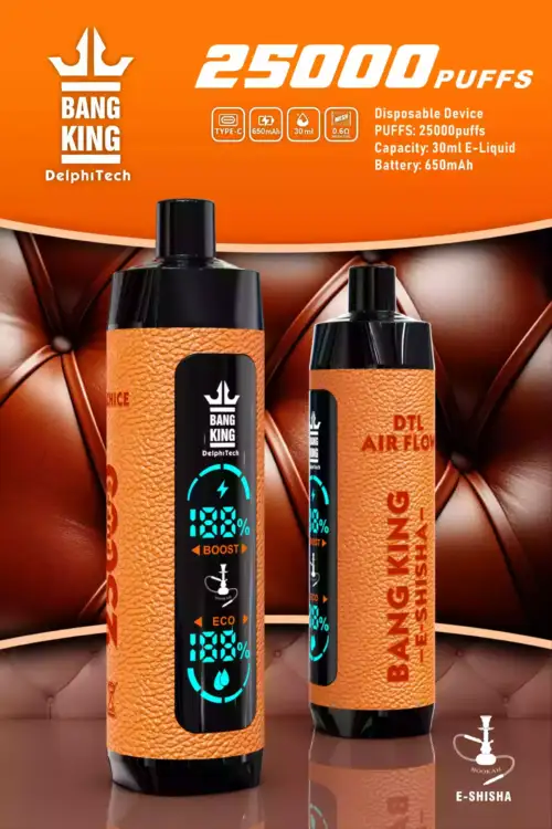 Bang King 25000 Puffs – Edles Leder-Dampfvergnügen