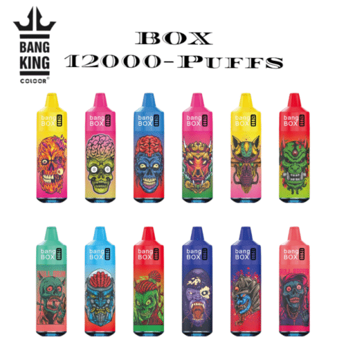 bang BOX12000 Puffs – Dein Dampfpartner Vape