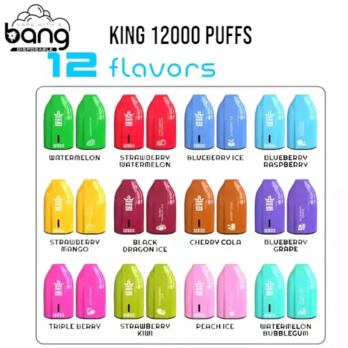 bang king 12000 Puffs – Voller Aroma-Kick