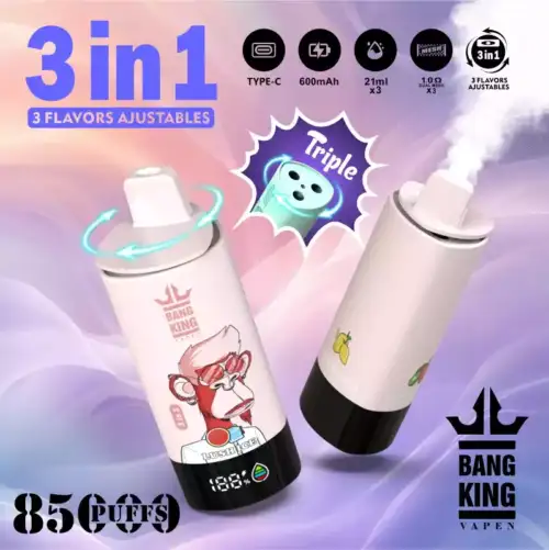 BANG KING 85000 – Triple Flavor 85K Puffs