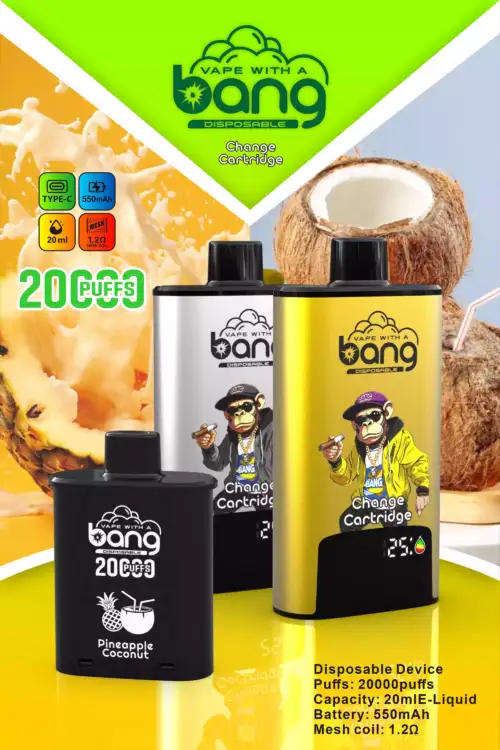 BANG20000 DSK046 – 20.000 Züge